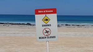 With experts on hand, these victims. Broome Shark Attack Almost Impossible To Predict Says Leading Shark Expert Perth Online News