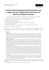 Image result for Brachystegia michelmorei