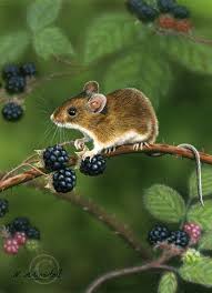 7548 2914749 Jpg 606 840 Pixels Nigel Artingstall Like And Repin Thx Noelito Flow Http Www Instagram Com Noelitoflow Animals Cute Animals Animals Beautiful