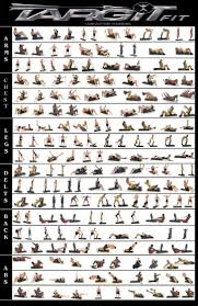 66 unusual total gym wall chart pdf