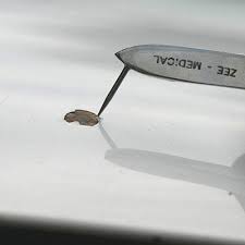 Rub a dab of automotive polishing compound over the paint chip to gently soften any ragged edges. Car Paint Repair How To Fix Paint Chips On Your Vehicle