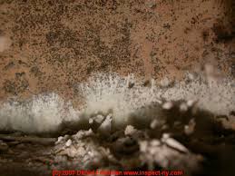 Maybe you would like to learn more about one of these? Brown Mold Growth On Building Surfaces What Does Brown Or Brown To Black Mold Contamination Look Like On Indoor Surfaces