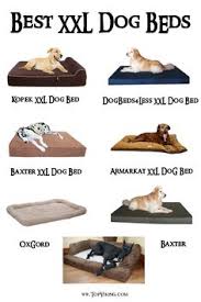 Best dog bed for large dogs. 58 Best Xxl Dog Beds Ideas Xxl Dog Beds Dog Bed Cool Dog Beds