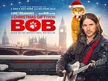 Nuestro contenido para ver online tenemos siempre es de la mejor calidad centrandonos en contenido hd, 1080, o 720. A Gift From Bob Wikipedia