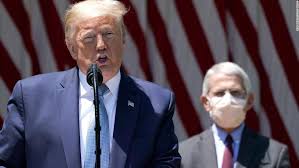 How Donald Trump Wins The 2020 Presidential Election In 3 Sentences Cnnpolitics
