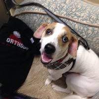 I was met outside to drop off and. Wiggles And Wags Pet Resort Pet Store In Tempe