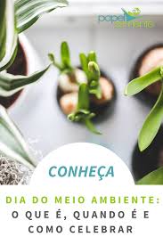 Dia 5 de junho de 1972 durante a conferência das nações unidas sobre o meio ambiente. Dia Do Meio Ambiente Quando E O Que E E Como Celebrar Dia Do Meio Ambiente Meio Ambiente Ambiente