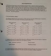 We did not find results for: Dna Fingerprinting In This Lab We Will Use Some Of Chegg Com