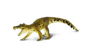 It is known from a single nearly complete skull collected from the upper cretaceous echkar formation of niger. Safari Ltd Wild Safari Kaprosuchus Buy Online In Angola At Angola Desertcart Com Productid 9620572