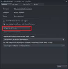 We play pubg mobile matches or tournaments in a custom room. Steam Launch Options For Pubg Pc Noobs2pro