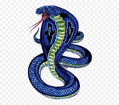 Isometric graph paper isometric graph paper is also known as triangular paper. Cobra Snake Png Images Free Download Snake Drawing Color Tattoo Serpent Png Free Transparent Png Images Pngaaa Com