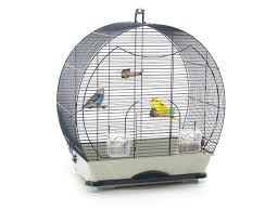 Free delivery and returns on ebay plus items for plus members. Bird Cage Evelyne 40 Bird Cages Bird Nobby Pet Shop Gmbh