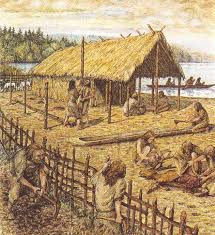 La Fin De La Prehistoire Le Neolithique Prehistoire Neolithique Archeologie