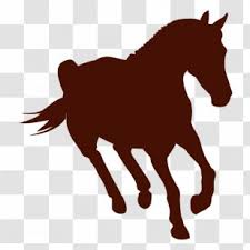 Mane Welsh Pony And Cob Mustang Stallion Show Jumping Transparent Png