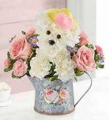 Popular 1800flowers promo codes & sales. Precious Pup 1800flowers Com