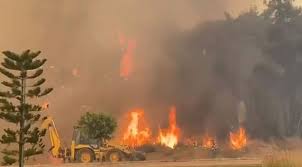 Отдыхающие в анталье русские рассказали о пожарах в провинции. Bdxm63delb1dfm