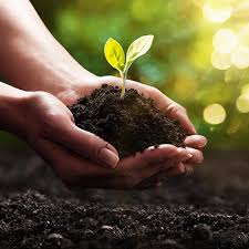 The existence of human life cannot be imagined without trees. New Technology Could Help Plant Over 1 Billion Trees By 2030 The National Digest
