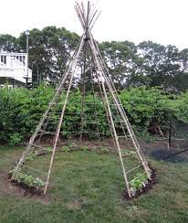 A garden teepee made of branches is a delightful retreat for all ages! Garden Trellis Ideas That Are Inexpensive And Look Great
