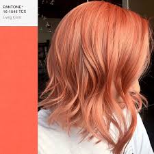 Pantone S Color Of 2019 Is Living Coral Here Are 6 Formulas Coral Hair Hair Color Formulas Peach Hair Colors