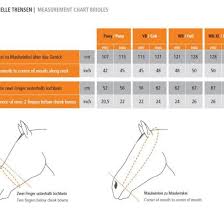 Schockemoehle Sports Equitus Beta Anatomic Snaffle Dressage