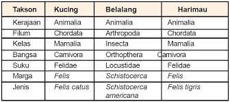 Urutan takson hewan dan tumbuhan. Sejarah Pengelompokan Klasifikasi Makhluk Hidup Berpendidikan Com