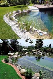 Pin By Scott Sr On House Ideas Natural Swimming Pools Backyard Pool Natural Pool