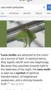 Luna Moth Moth Tattoo Luna Moth Moth Tattoo Meaning