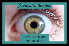 Hayatarehber Panosundaki Pin