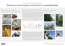 Image result for Icuria