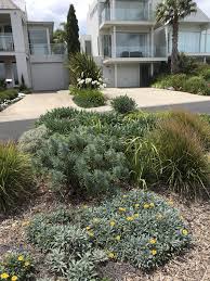 Native Coastal Garden Victoria Australia