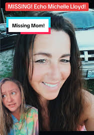 Michelle Lloyd Hetrick App