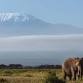 Safari au Kenya event image