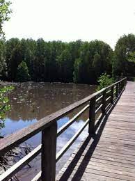 We did not find results for: Kota Kinabalu Wetland Centre 2021 All You Need To Know Before You Go With Photos Tripadvisor