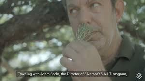 S.A.L.T. Experiences: Tasting Greece's Organic Culture