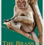 The Brass Monkey from www.thebrassmonkey.org