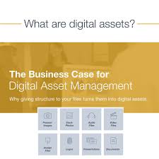 Websites and blogs (lifehacker.com earns over $270,000/month) The Business Case For Digital Asset Management Infographic Skillz Middle East