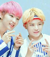 Buy boson seventeen pullover hoodie woozi wonwoo hoshi jun jeonghan hooded sweatshirt: Woozi And Hoshi Carat ìºë¿ Amino