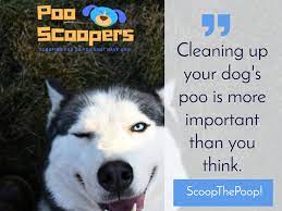 The family of little stinkers are dog lovers, who actually raised siberian huskies for about 10 years. Home Poop Scooping Pet Waste
