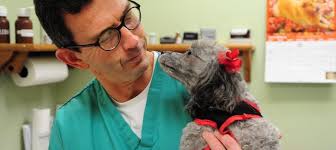 Forget Medicare For All, Now This Lefty Wants Medicare For Pets