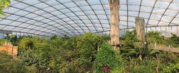 Artgemäße tierhaltung, artenschutz, bildung und spannende entdeckertouren werden vereint. Tropenhalle Gondwanaland In Leipziger Zoo Stadt Leipzig