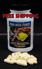Fish Mox Forte Amoxicillin 500mg 100 Count Emergency Food Storage Emergency Food Food