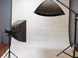 How To Start A Pet Photography Business Pet Photography Studio Pet Photography Business Dog Photography Studio