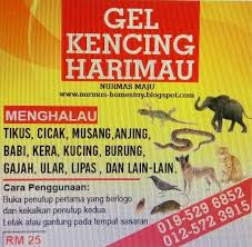 Cara halau monyet guna belacan dan ubat gegat. Jitra Changlun N U R M A S Homestay Gel Kencing Harimau 180gram