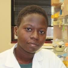 Does anybody have or know where to find RNA pol IV and RNA pol V mutants in  Arabidopsis Colombia background?