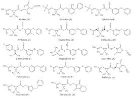 Image result for Pyrethroid