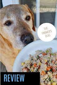 Curious About Fresh Dog Food From The Farmer S Dog Dog Food Reviews Dog Food Recipes Dog Food Delivery