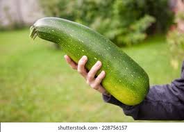 Check spelling or type a new query. Zucchini Courgette Fruit Held Hand Fresh Stock Photo Edit Now 228756157