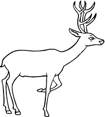 Download this adorable dog printable to delight your child. Free Printable Deer Coloring Pages For Kids