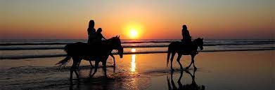 There are horseback riding opportunities available for all ages. Horse Riding At A Wellness Hotel Wellness Hotels Resorts