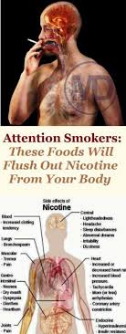 Pin On Healthy